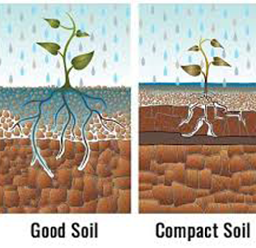 Reduced Soil Compaction