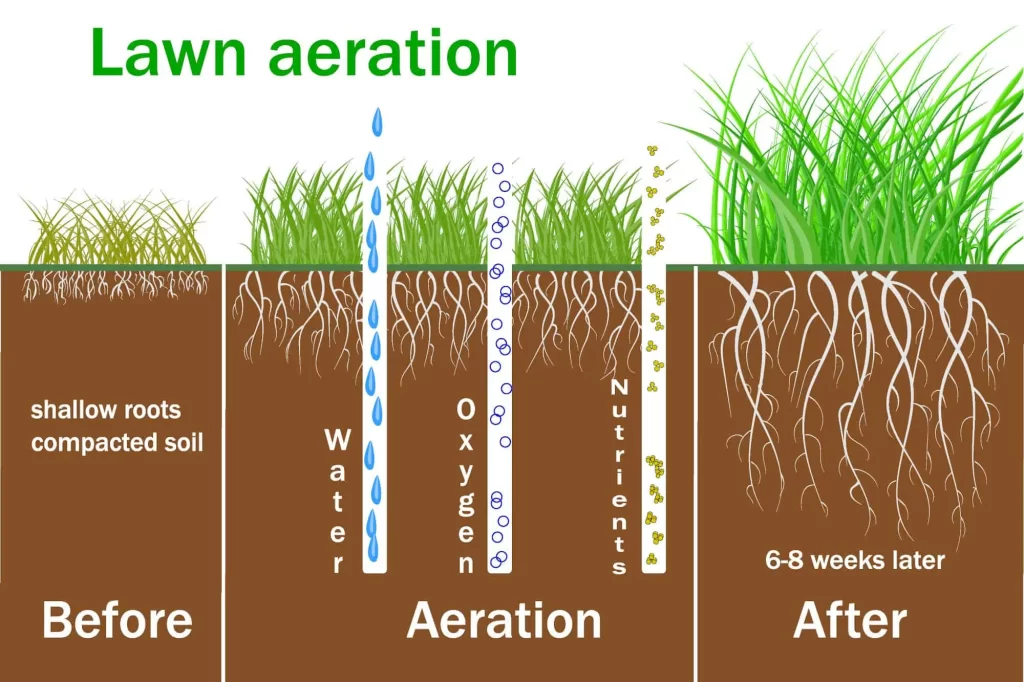 lawn aeration goterra irrigation service