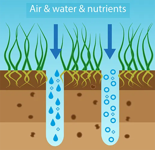 lawn_aeration oxygen pass opt