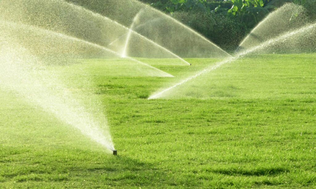 How Sprinkler and Drip Systems Differ